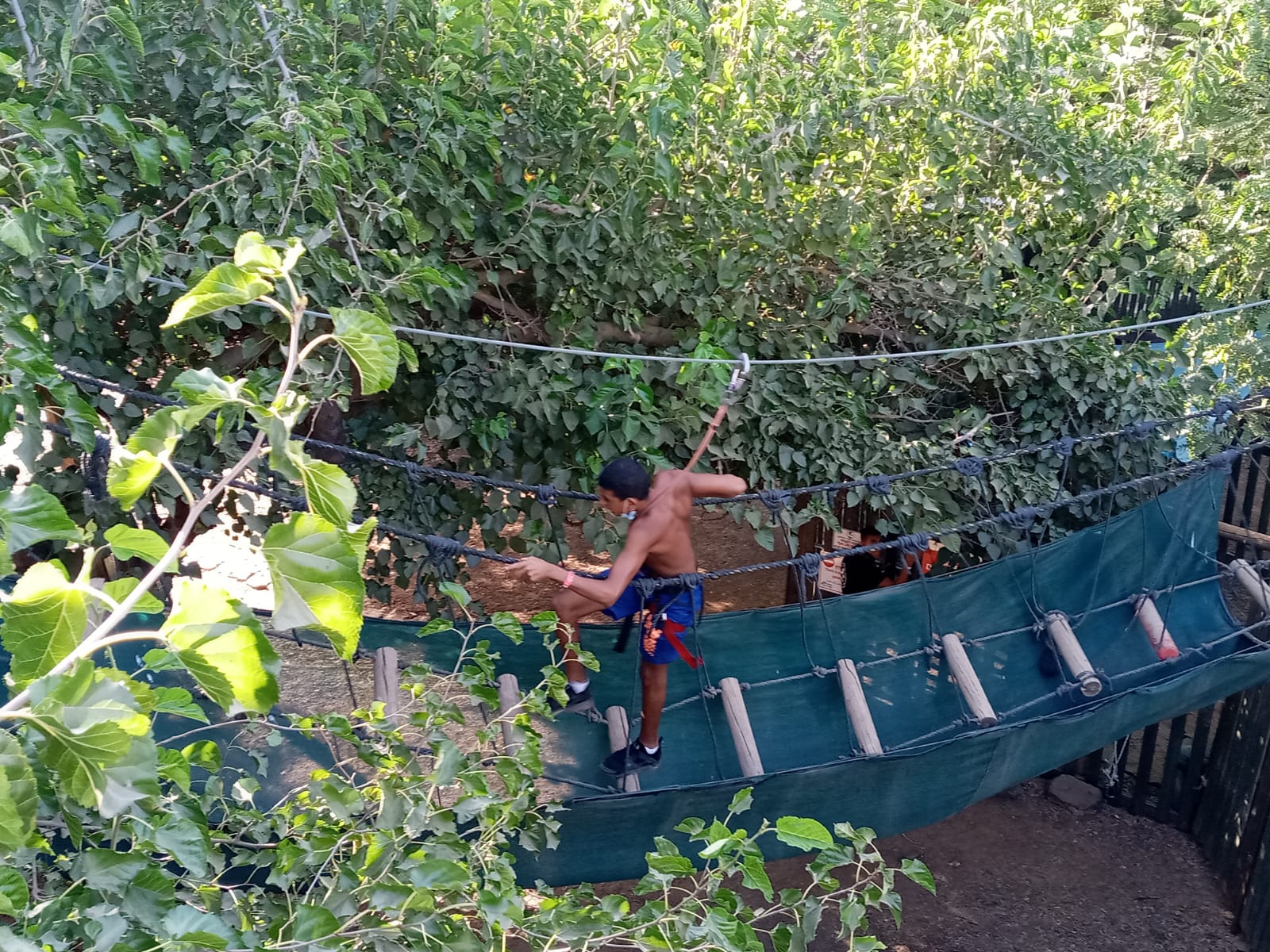 WhatsApp Image 2020-08-08 at 7.33.17 PM (2).jpeg.jpeg